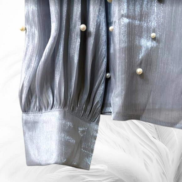 Light Blue Pearl Embellished Sheer Blouse – Long Sleeve Elegant Top - Picture 3 of 7
